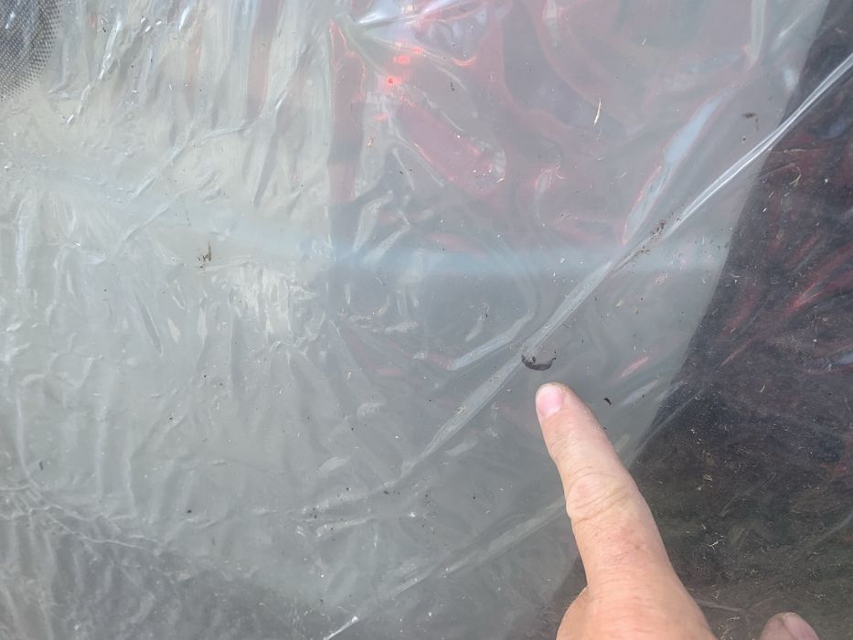 Parbriz Renault Kadjar