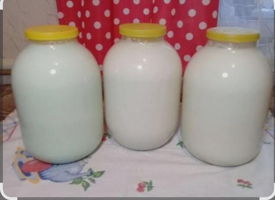 Домашние молоко .жирное без запаха