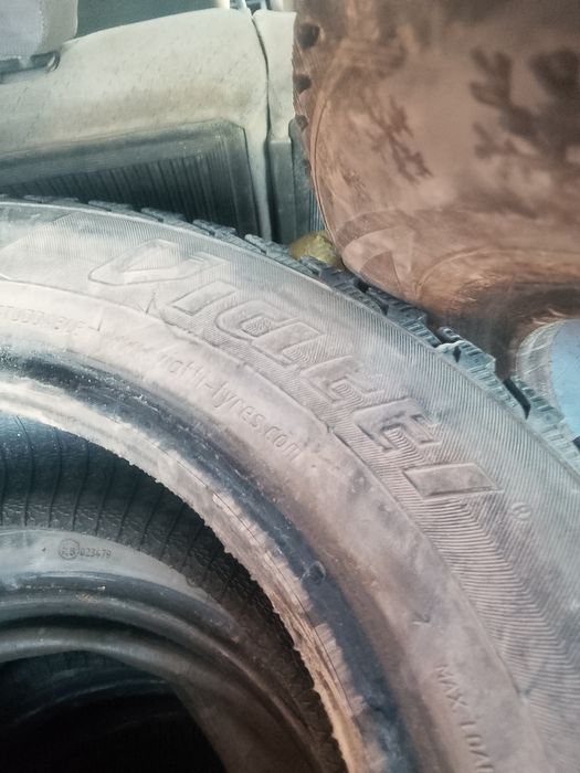 Шины зимных цыпы