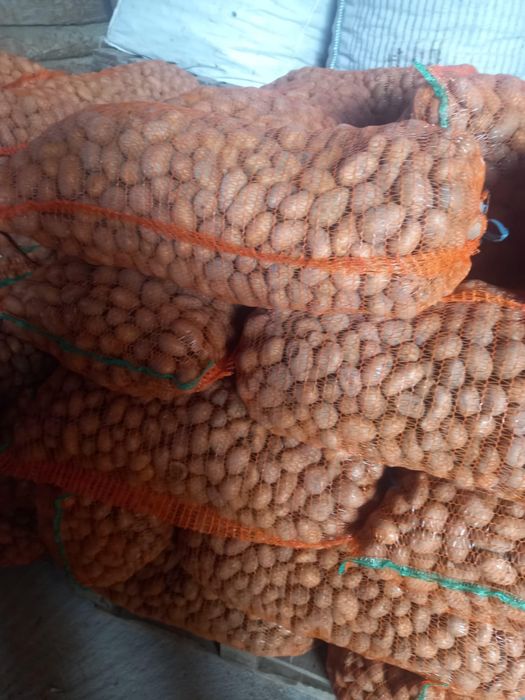 Cartofi mici pentru animale