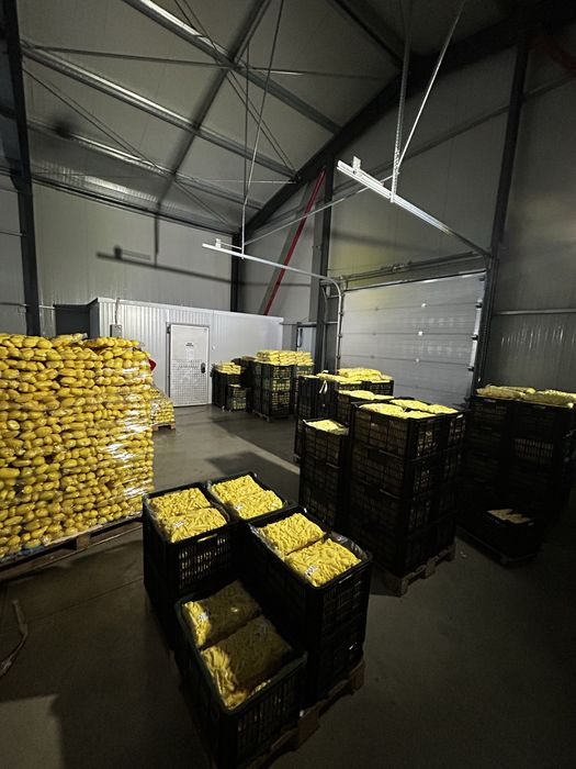 Cartofi proaspeti si legume vidate, cartofi curatati si legume curatat