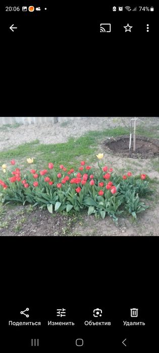 Продажа дома недвижимость