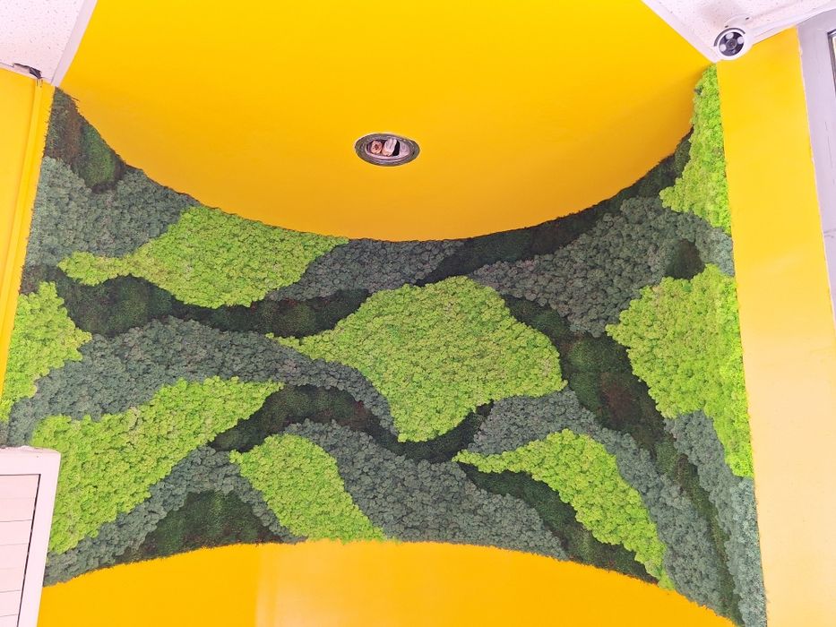 Декоративни пана със Скандинавски мъх