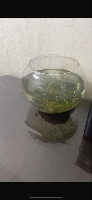 Аквариум для рыбок