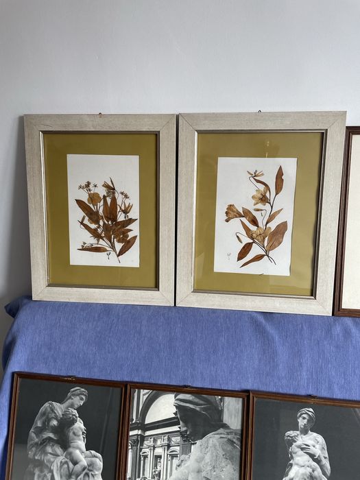 Tablouri diferite la bucata sau angro