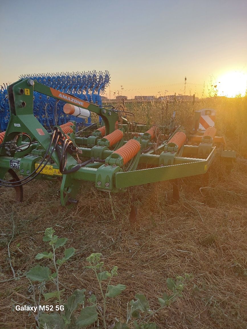 Dezmiristitor Amazone cenius 3003
