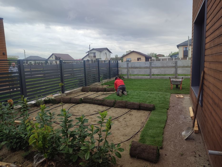 Gazon rulou sport 24 de lei m2. Transport și montaj inclus in preț.