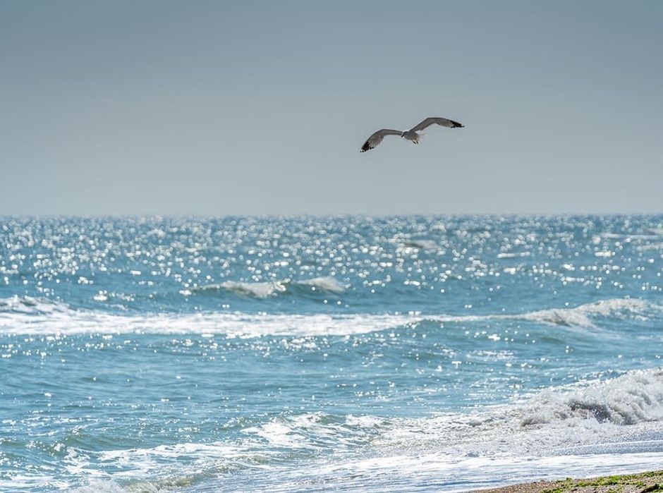 Deschidere STUDIO VIDEOCHAT sau DE ACASA, Plata zilnic/saptamanal