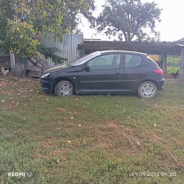 Peugeot 206 functional