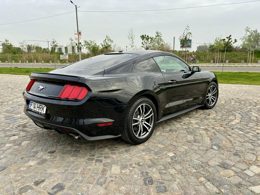 Ford Mustang 2.3cm Eco Bust