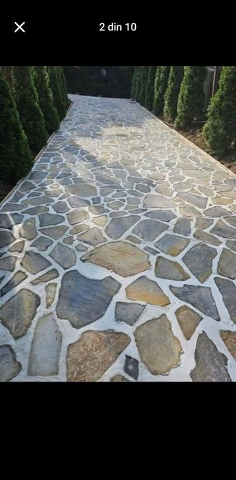 Piatră naturală de munte și plante ornamentale