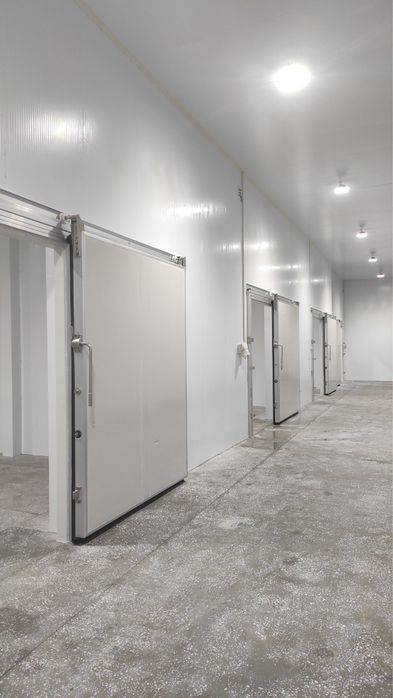 Холодильные и морозильные камеры, Акция сэндвич панели, под ключ