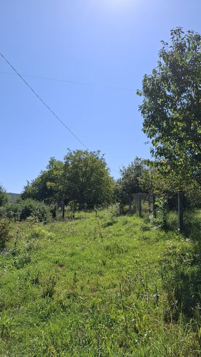 Vând teren cu o mică căsuță în Bărăi