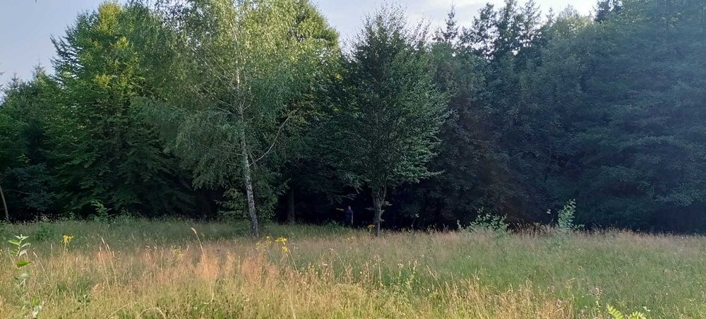 Teren Runcu (Brebu) Dambovita