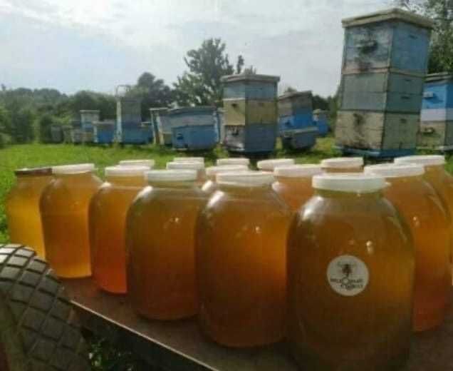 Мёд Натуральный из Восточно Казахстанской Области
один вкуснее другого