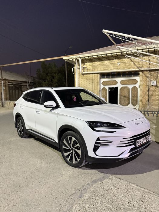 Bvd song plyus chempion