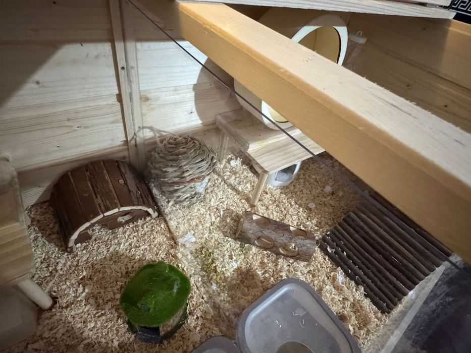 Cusca pentru hamster