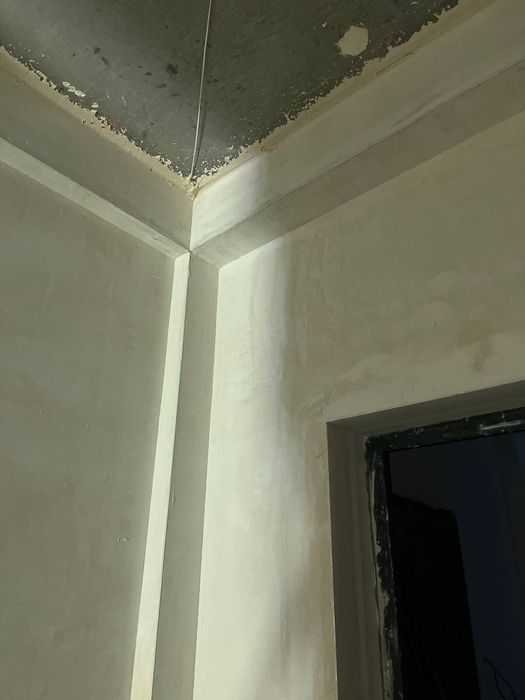 Миханезированная штукатурка 30тысяч