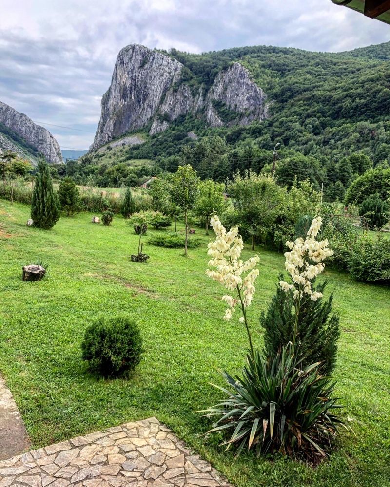 CABANA “AMURG”,de inchiriat in cheile Valisoarei(AIUD)