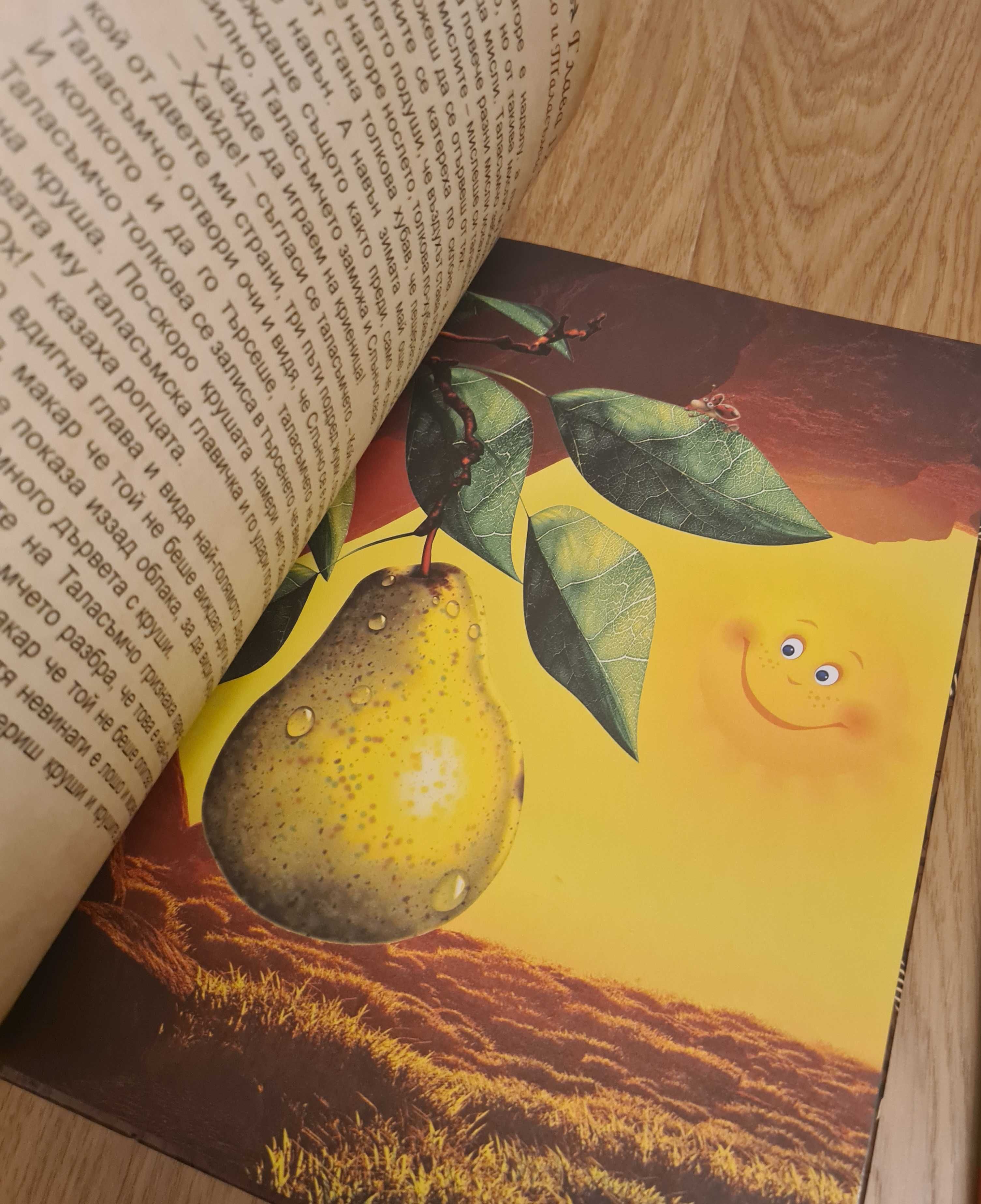 Детски книжки - Къща с животни с капачета, Слънчоглед, Прегръдката