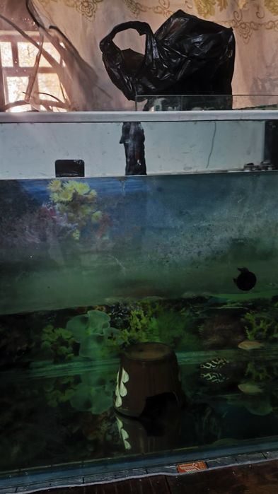 Аквариум 200 литр + самп