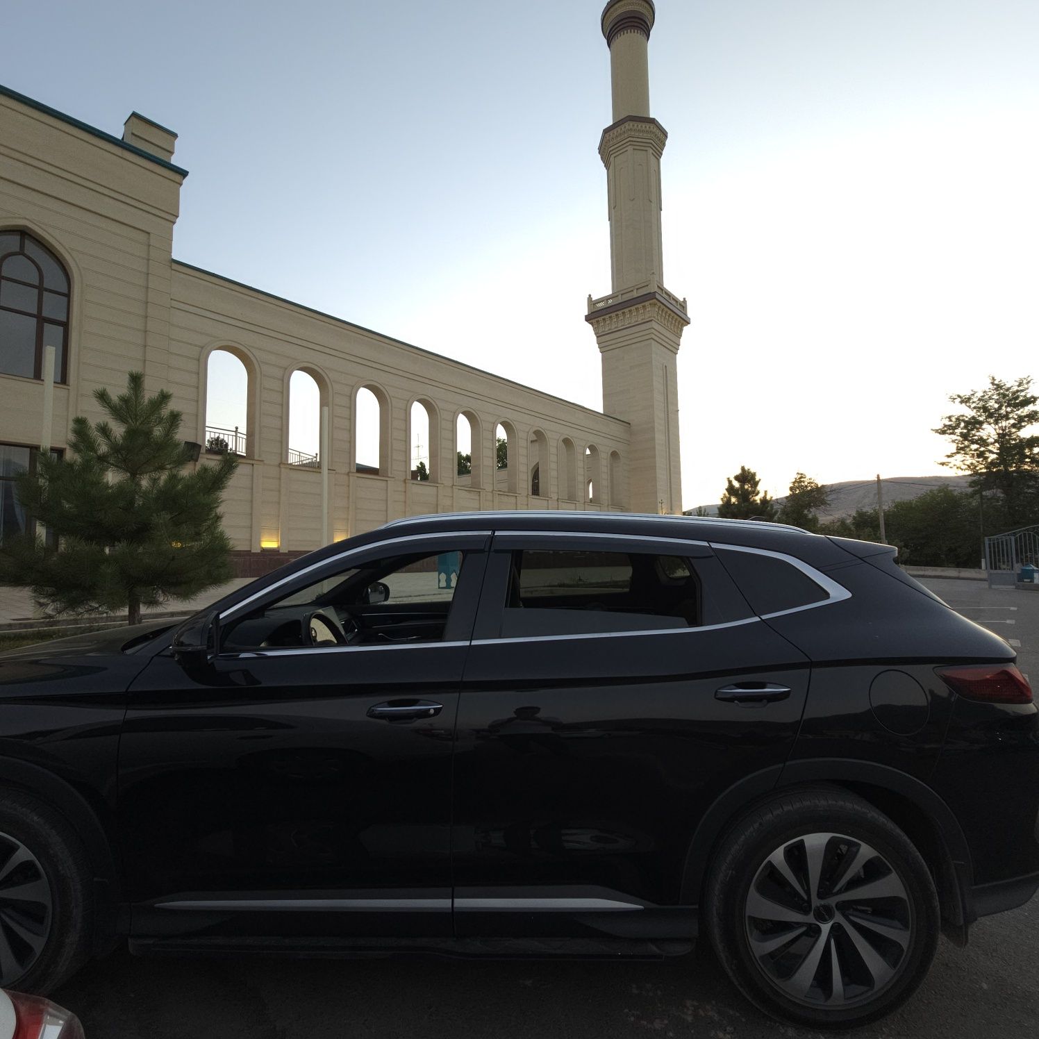 BYD Chempion gibrid. Бензин и электроника.