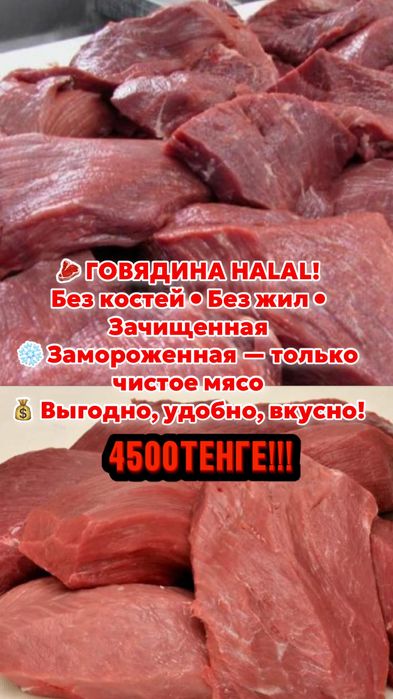 HALAL мясо от производителя-100% говядина первого и второго сорта.