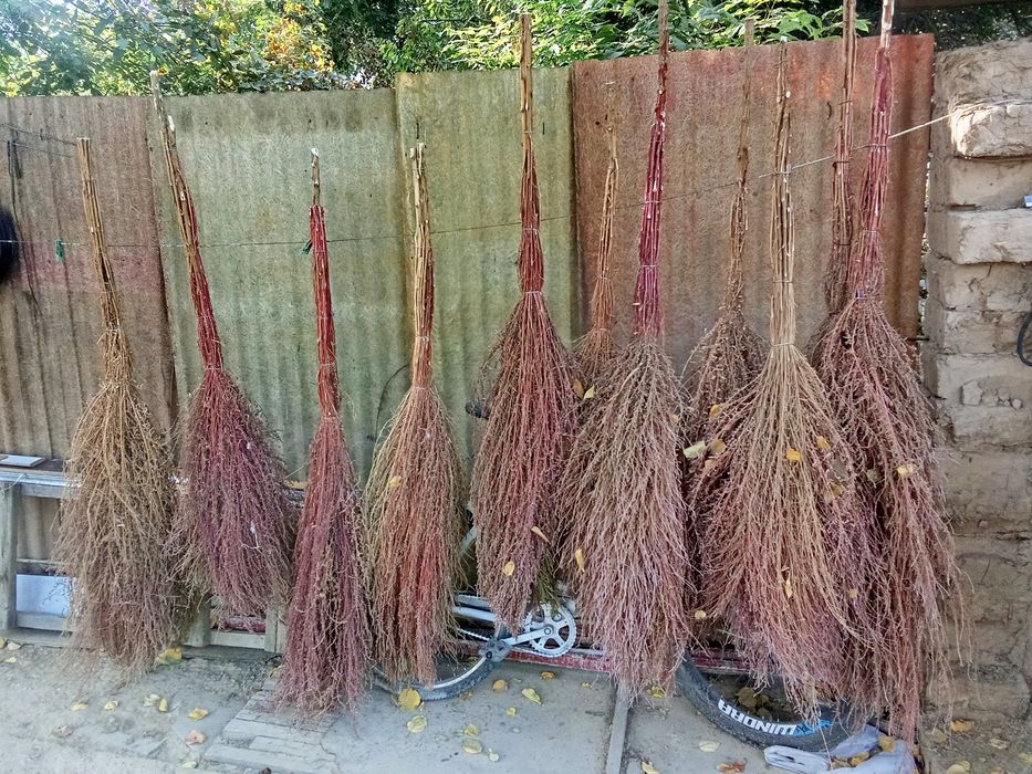 Hovli va ko‘cha supirgisi