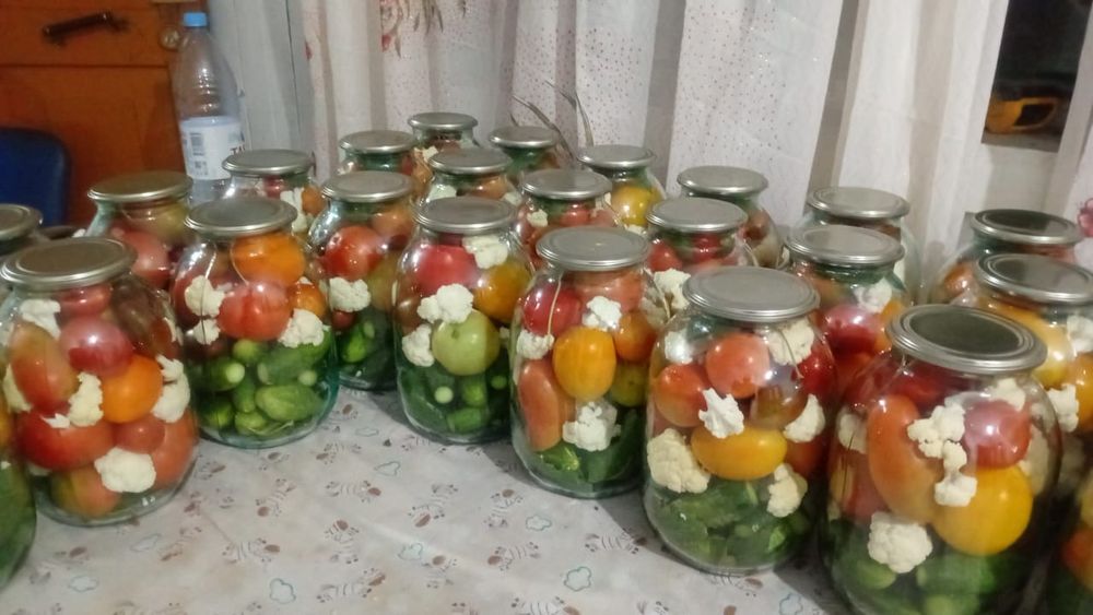 Продам  солонину
