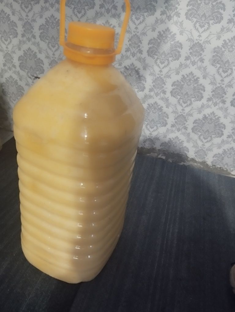 Катон-Карагайский мёд