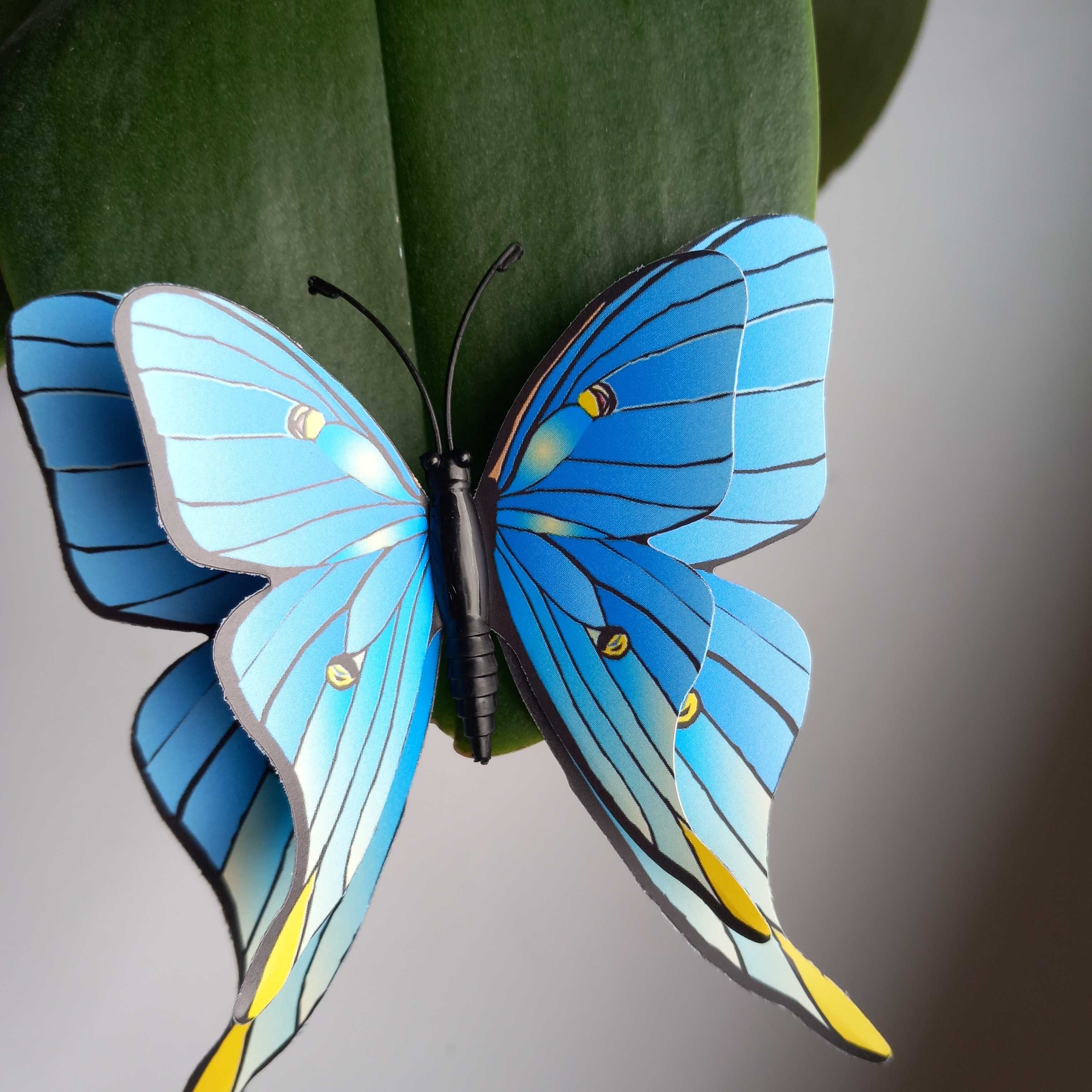 Декорация пеперуди ефектна колекция