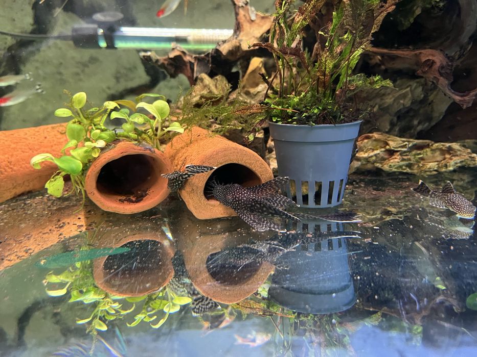 Аквариум 420 литра с метална стойка