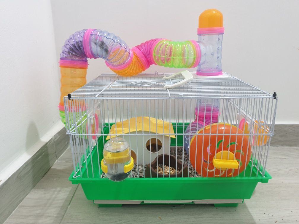 Hamsteri și accesorii