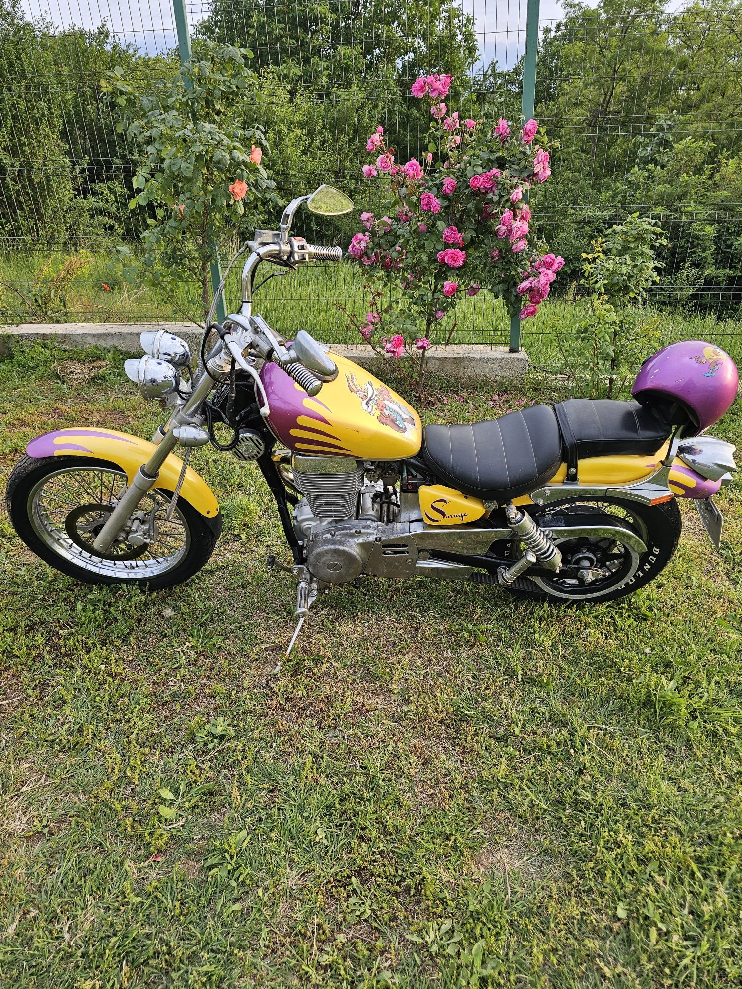 Suzuki Savage 650