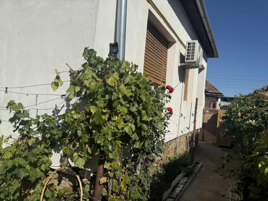 Casa de vanzare in Aradul Nou