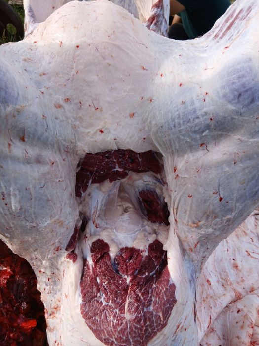 Соғым сатам сойып жеткізіп берем