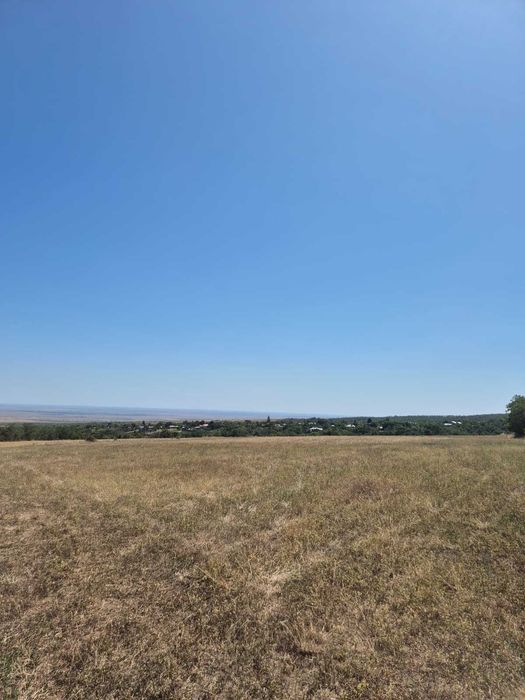 Vand teren extravilan 3 ha Livada Mare, Comuna Grebanu, jud Buzau