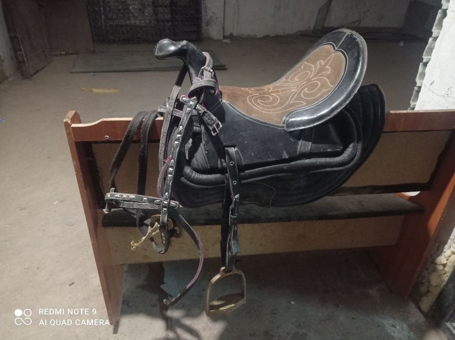 Ертокым кокпарга