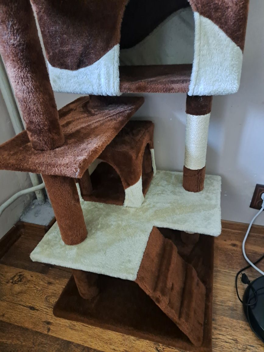 Котешка катерушка