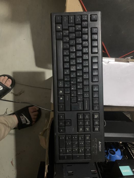 Kroclo miwka manitor