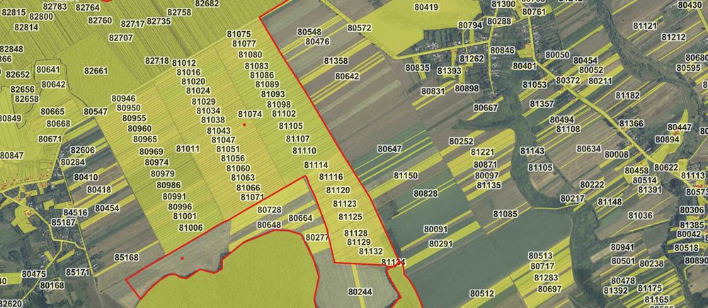 Vând teren extravilan – 2,59 ha – Raca, jud. Argeș