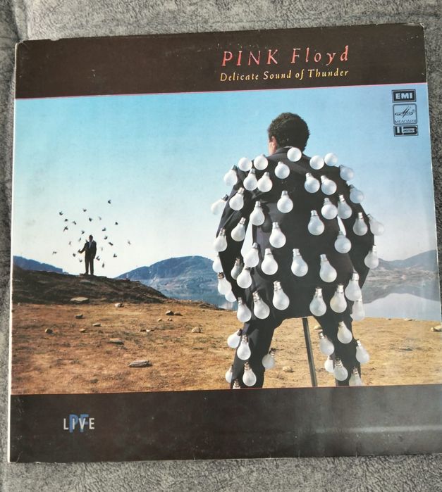 Виниловая пластинка