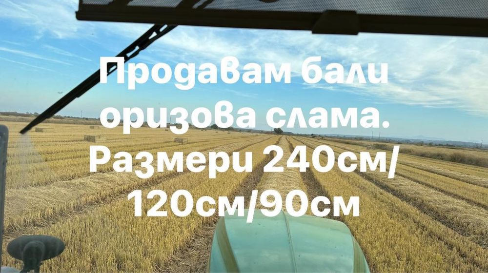 Бали оризова слама