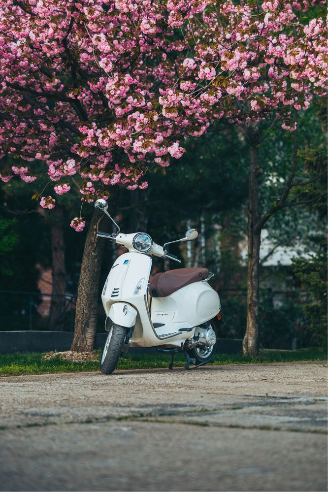 Piaggio Vespa Primavera-Sprint