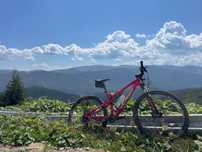 Specialized epic comp
