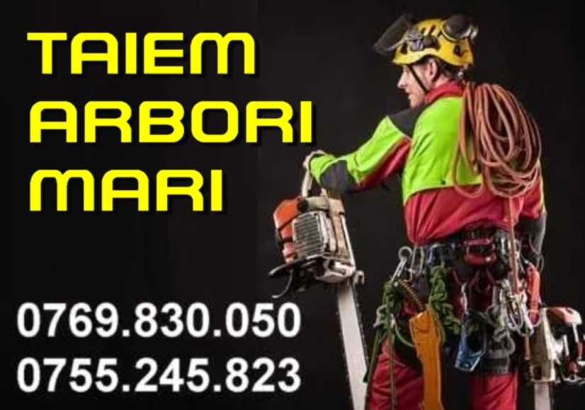 ALPINISTI UTILITARI constructii, reparatii, intretinere