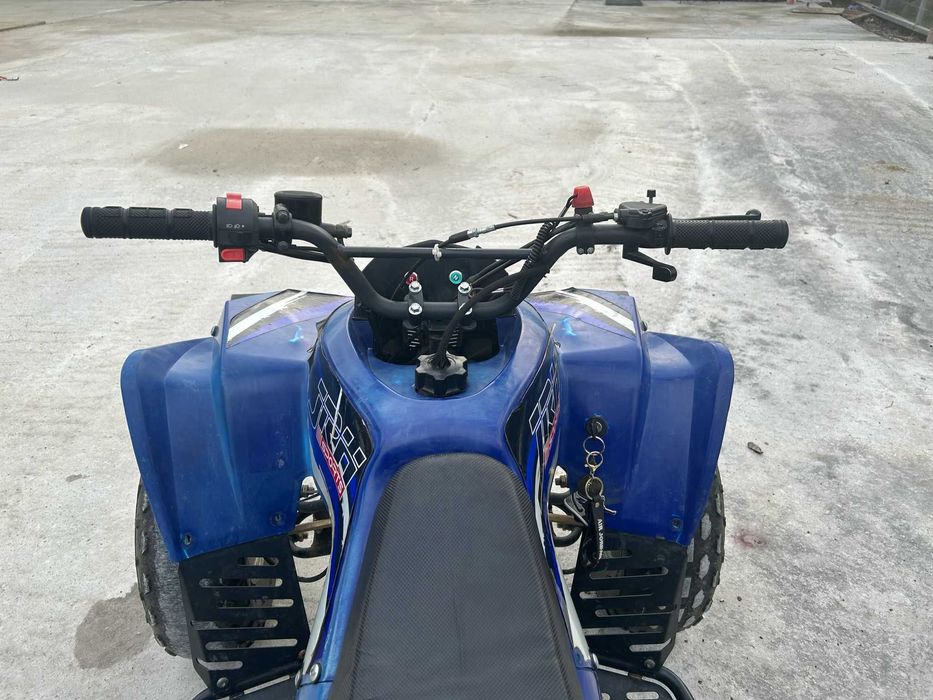ATV 125 Renegade c6 de copii