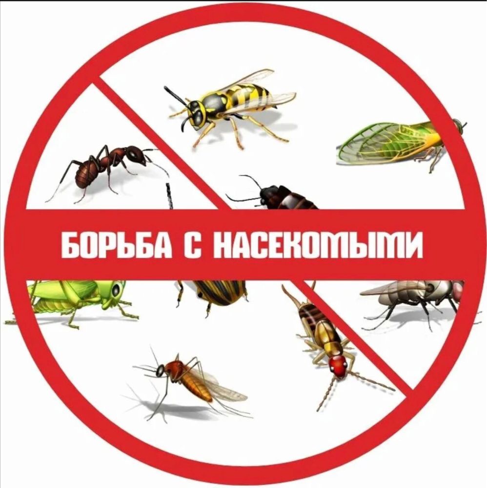 СЭС СЕРВИС Дезинсекция Дезинфекция Быстрое Уничтожение Тараканов Клопо