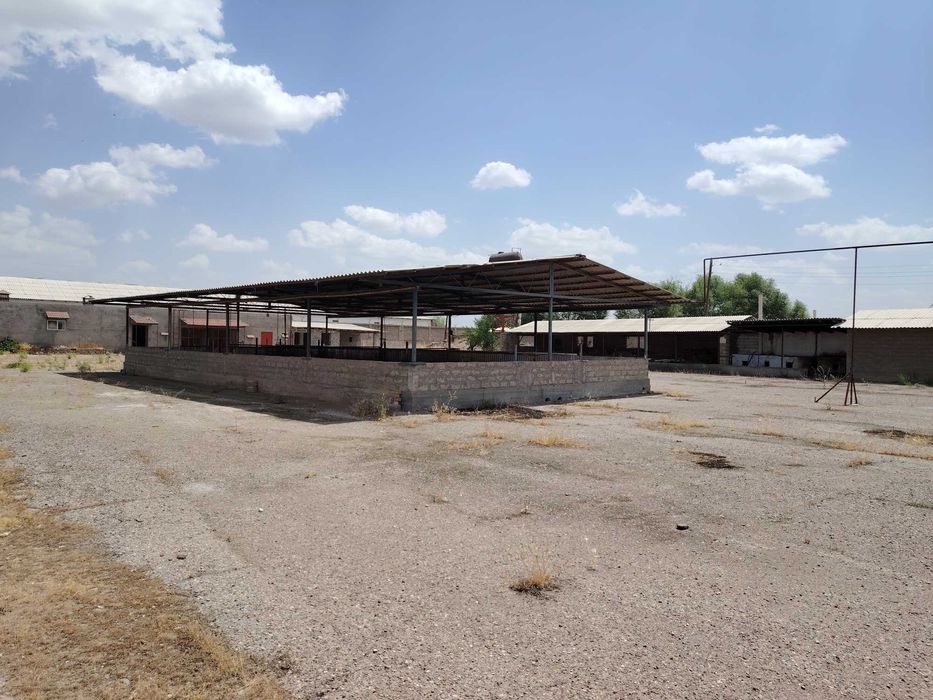 СРОЧНО ФЕРМА сотилади 1,61 гектар Котеджлар куриш учун зур имконият