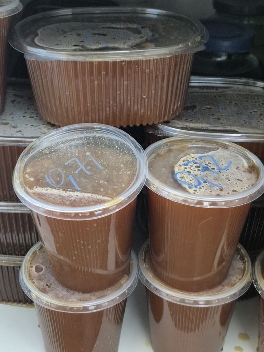 Продам свежий мед